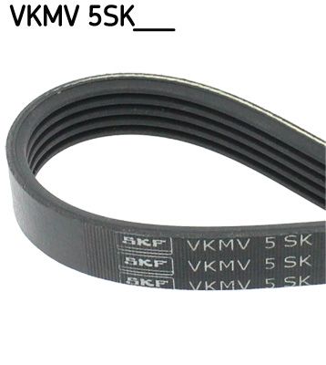SKFVKMV 5SK748